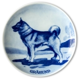 Ravn Utility dog plate no. 11, Norwegian Elkhound
