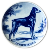 Ravn Hundeteller  Nr. 15, Dobermann