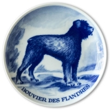 Ravn Utility dog plate no. 16, Bouvier des flandres