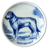 Ravn Hundeteller  Nr. 17, Hovawart