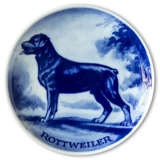 Ravn Utility dog plate no. 19, Rottweiler