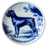 Ravn brugs hundeplatte nr. 20, Riesenschnauzer