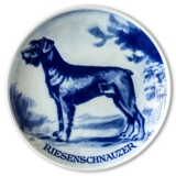 Ravn Utility dog plate no. 20, Riesenschnauzer