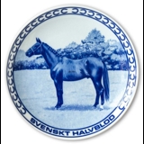Ravn horse plate no. 1, Swedish Half Blood