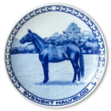 Ravn hesteplatte nr. 1, Svensk Halvblod