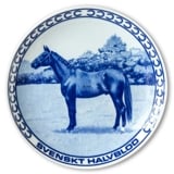 Ravn horse plate no. 1, Swedish Half Blood