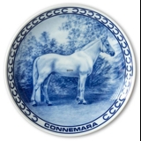 Ravn Pferdeteller Nr. 13, Connemara-Pony