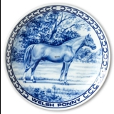 Ravn Pferdeteller Nr. 14, Welsh-Pony