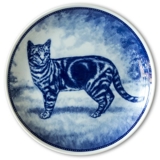 Ravn cat plate no. 5, European short haired cat