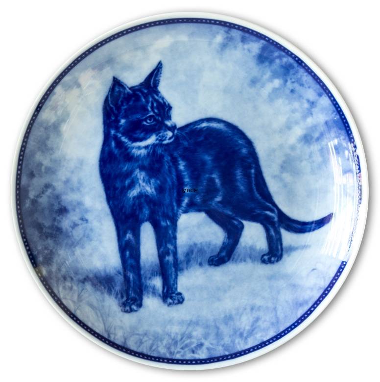 Ravn katteplatte nr. 6, Abessinier