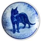 Ravn katteplatte nr. 6, Abessinier