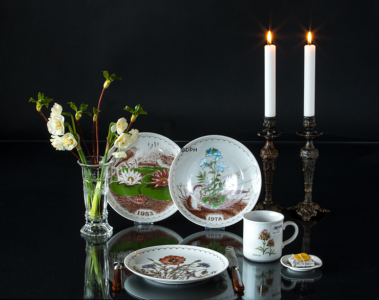 1973 Ravn Mors dag platte