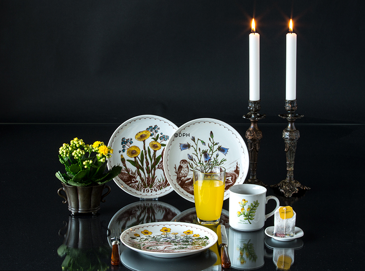 1977 Ravn Mors dag platte