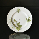 Royal Albert Trillium kagetallerken, diameter: 16 cm