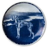 Riges dog plate Sighthound