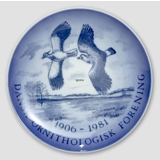 1906-1981 Royal Copenhagen Memorial plate, Danish Ornithologically Union,