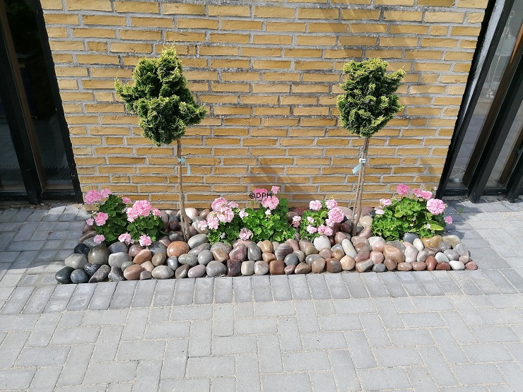 Poleret uvasket og ubehandlet Sten, 1 stk. - Dekorativ natursten 8-17cm, assorteret