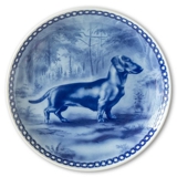 Tove Svendsen Dog plate, Smooth haired Dachshund