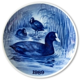 1989 Tove Svendsen, Hunting plate, Coot