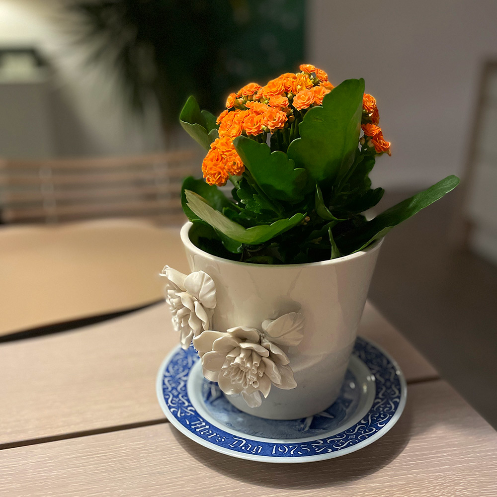 1976 Rørstrand Mors dag platte