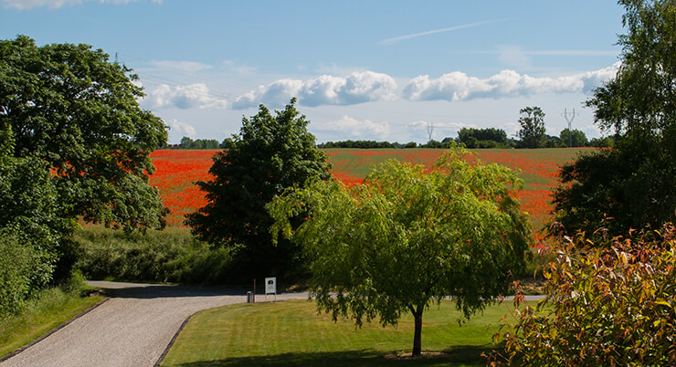 The view at DPH Trading on a summer day