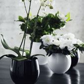 Urtepotter og silkeblomster 